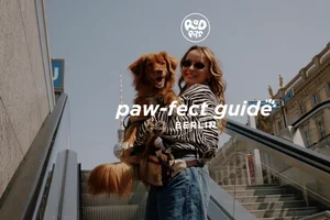 Taste of Heritage: A New Chapter in Culinary Discovery