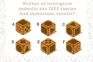 🎁 Glædelig 1. december - Så er det Pakkekalender tid!🎅🎁