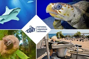 Blå Planet Camp, sommerferie og aftenbilletter til 99 kr.