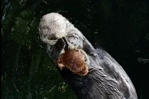 Ta' en ven med gratis på udvalgte hverdage i december 🎄