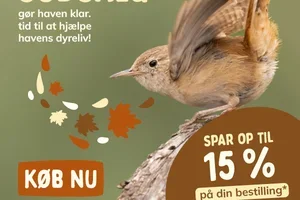 🤎 Spar 15 % på din ordre