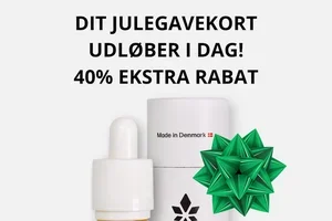 Udløber Idag ⏰ 40% EKSTRA RABAT - Julegave til dig 🎁 💚