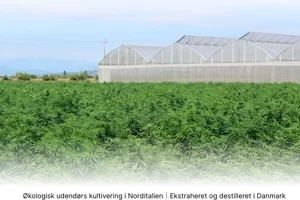 Glædelig Jul ❤️ 🎄 Vigtig information inden julehelligdagene