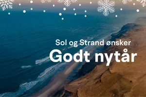 Godt nytår ✨