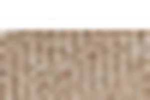 Øjeblikket, du har ventet på, er her ⚡