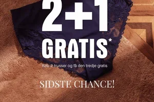 Sidste chance: 2+1 gratis på alle trusser*