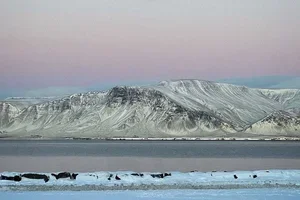 Discover Esja fleece - relaxed fit midlayer made for colder days.