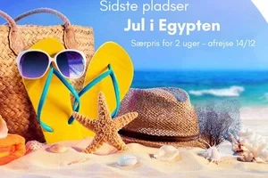 Sidste pladser: ✈️ 2 ugers julerejse til Sharm el Sheikh – afrejse 14/12!