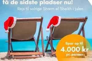 🌴 Sidste chance: Solrig jul eller nytår i Sharm el Sheikh – fra kun 5.795 kr!