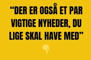 Se hvad der ryger! Januarudsalg 💥 Rabat til dig!