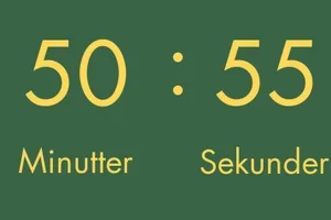 🚨 SIDSTE CHANCE 🚨 For levering inden jul 🎅