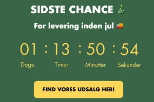 🚨 SIDSTE CHANCE 🚨 For levering inden jul 🎅