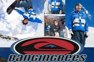 Quiksilver x Banging Bees is here