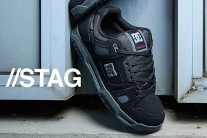 The Stag is back: ready for winter