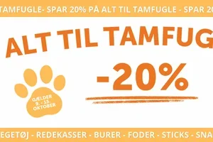 Efterårshygge til din tamfugl 🐦🍂