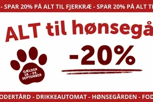 Er hønsegården klar til efteråret?🍂