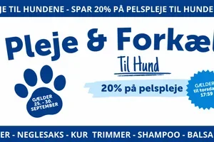 Er din hund klar til efteråret?🍂