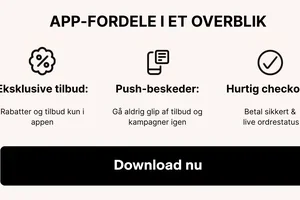 Højeste niveau: 12 % rabat! 🔥