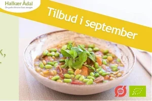 Septembertilbud: Allergivenlige måltider 🤩