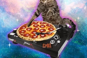 Farvel 2025 – klar til endnu mere kaos? 🎆