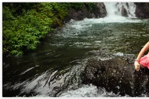 Her er vores bedste anbefalinger til din næste rejse