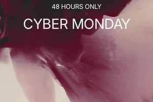 48 HOURS ONLY: CYBER MONDAY