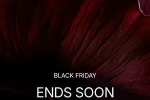 ENDS SOON: ALL BLACK FRIDAY OFFERS