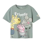 Name it T-shirt Arle Gustav Gris