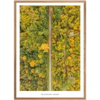 Mildstedter Tannen Poster